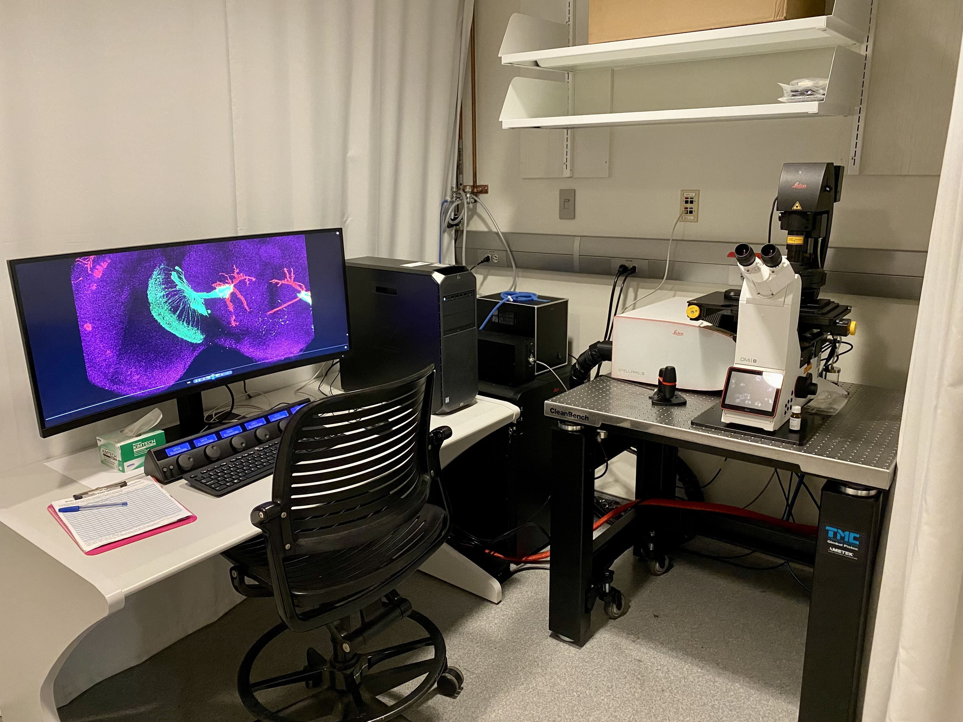 Leica Stellaris 5 confocal microscope