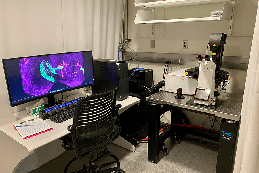 Leica Stellaris 5 confocal microscope