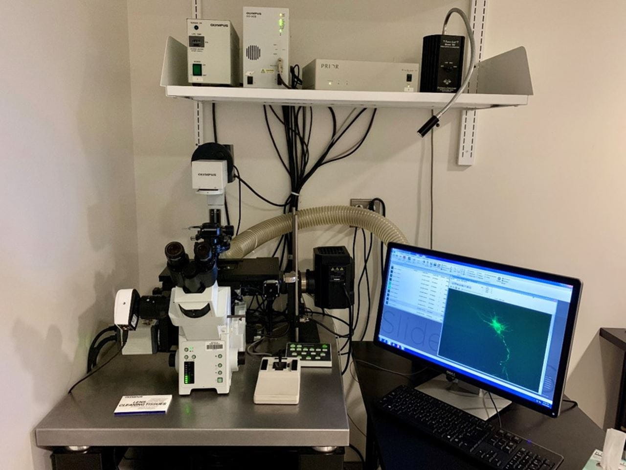 Olympus IX81 Widefield Epifluroscence microscope