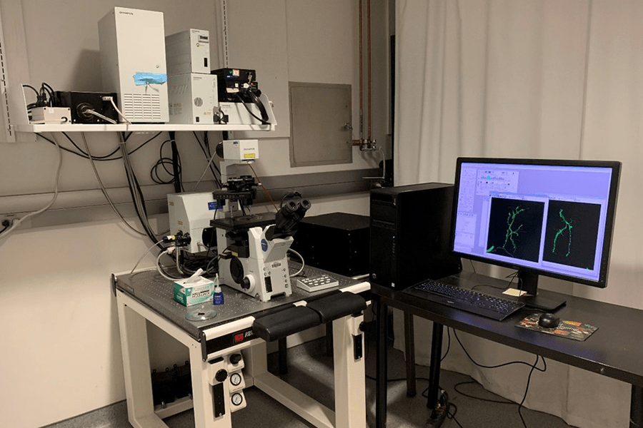 Olympus FV1000 confocal microscope