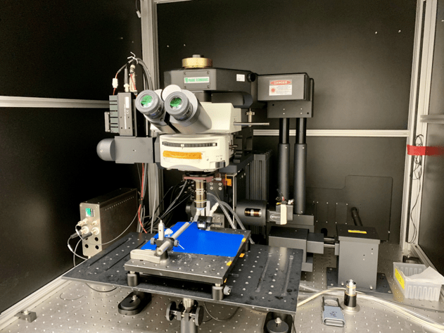 2-Photon Microscope