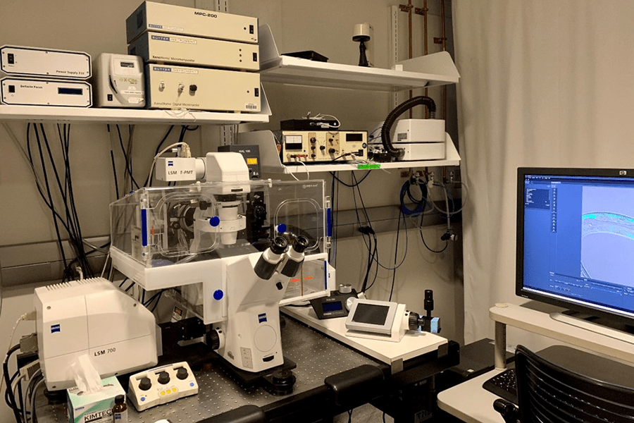 Zeiss LSM 700 Confocal