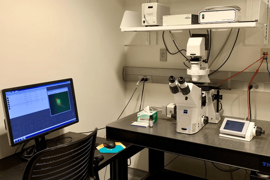 Zeiss AxioObserver widefield epifluroscence microscope