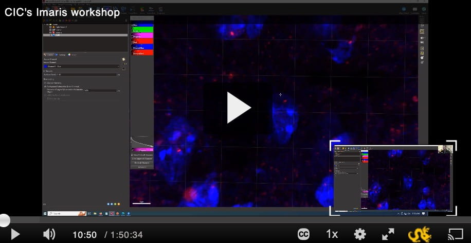 Image Analysis Video