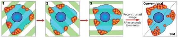 3D Sim of Super Resolution example