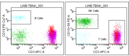 Flow Cytometer Fluorescence
