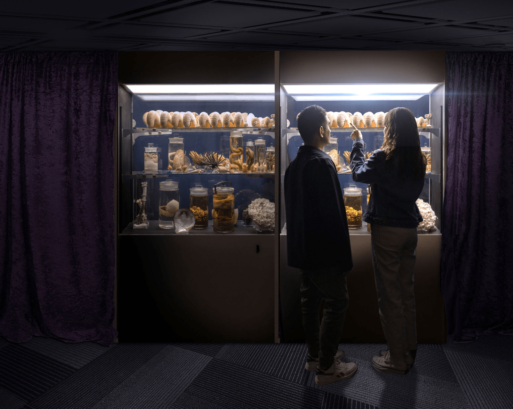 Display case at the Academy of Natural Sciences