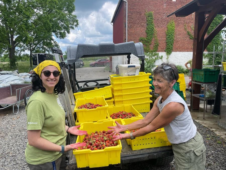 Bayanne working with PHS at Norristown Farm Park