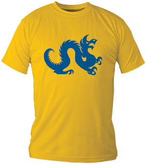 Dragon T-shirt example