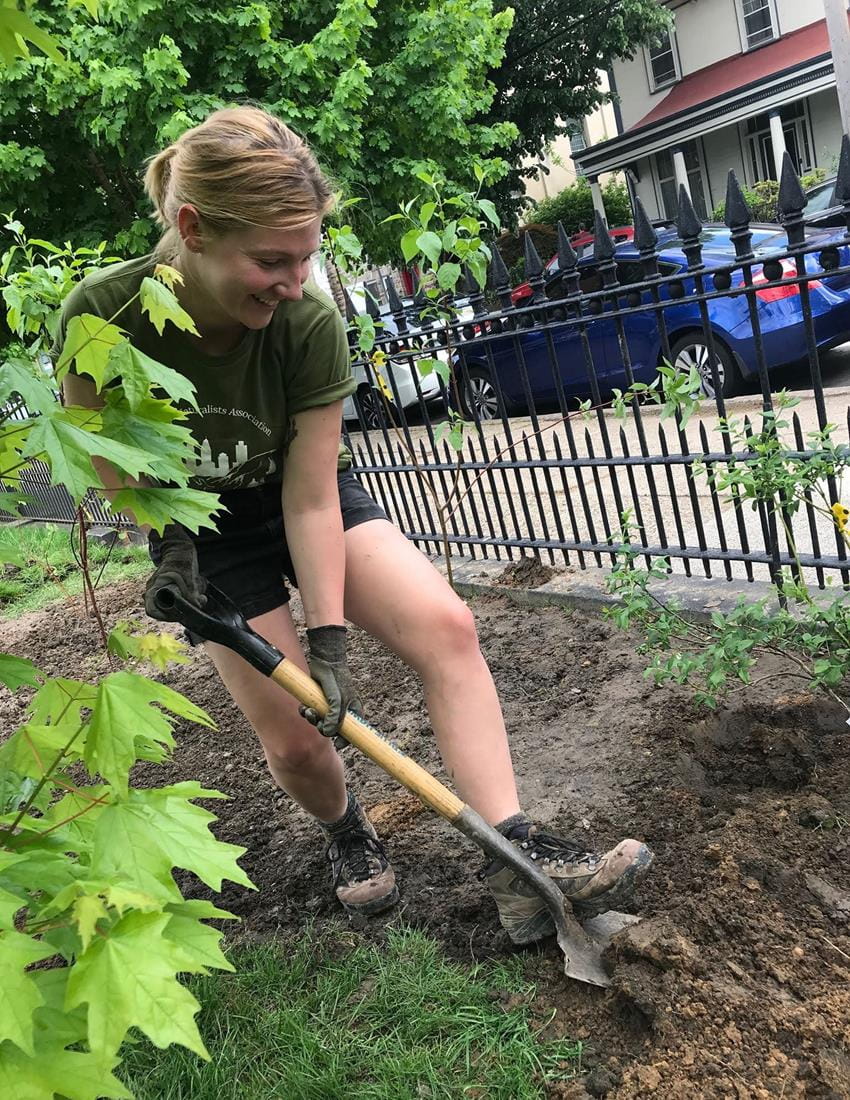 Drexel Student Volunteering doing tree planting for the neighborhood