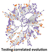 Diagram of tests of correlated evolution