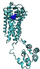 Design novel dopamine D3 receptor selective agonists