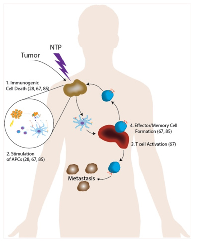 Non-Thermal Plasma-Induced Immunogenic Cell Death in Cancer