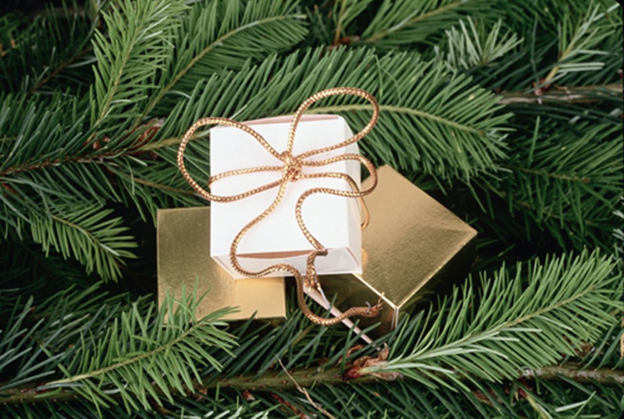 Drexel Professor Shares the Therapeutic Secrets Behind the Soothing Scents of the Holidays