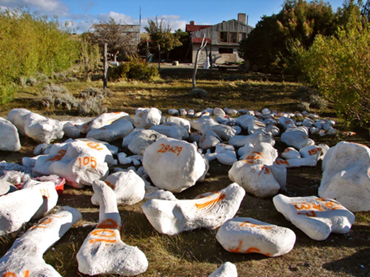 Drexel to Celebrate the Arrival of Professor’s Shipment of 16 Tons of Dinosaur Bones from Patagonia