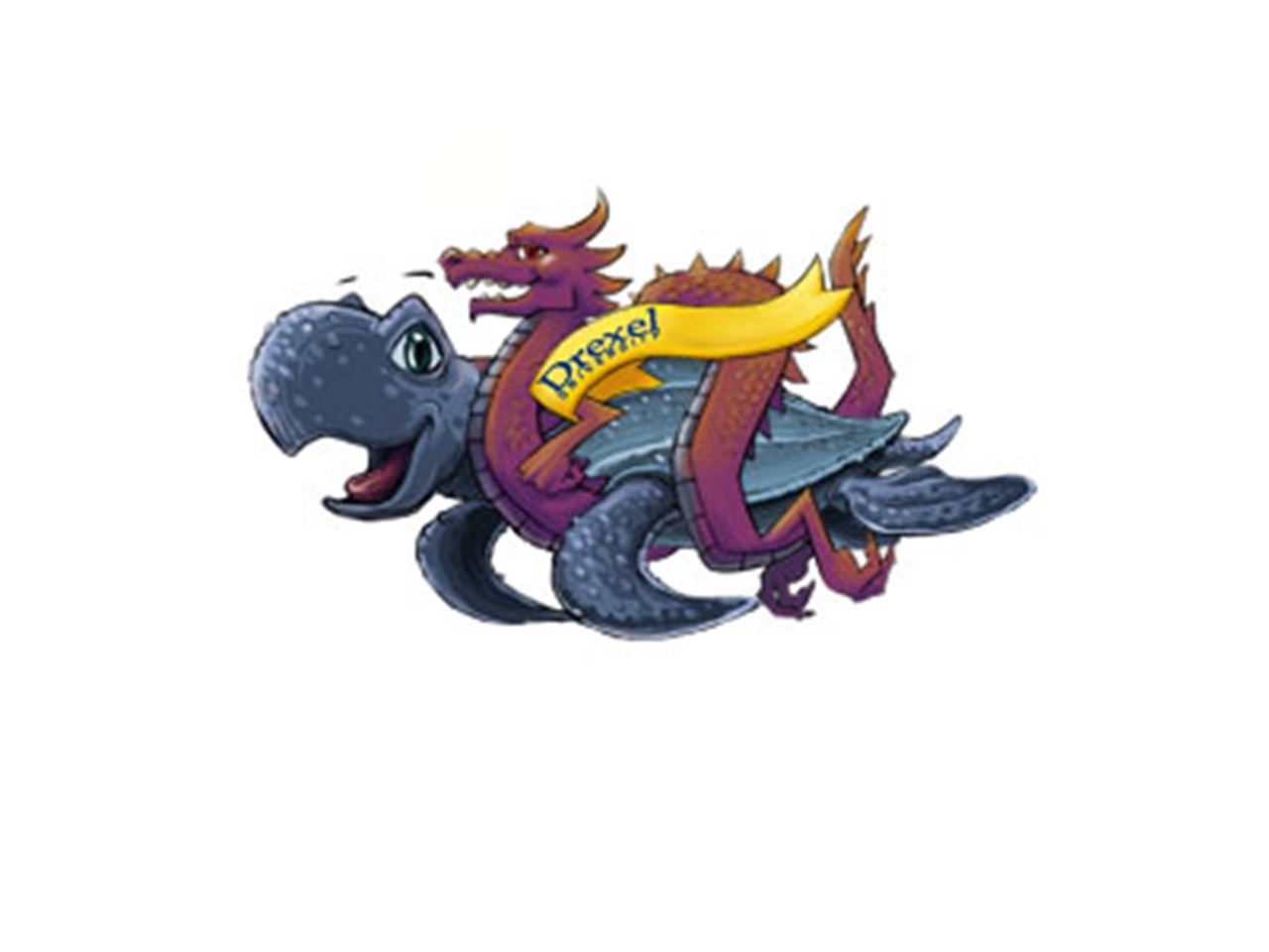 Eleven Leatherback Turtles to Compete in the Great Turtle Race Across the Pacific Ocean