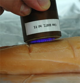 Dielectric barrier discharge plasma being applied to chicken breast using a probe.