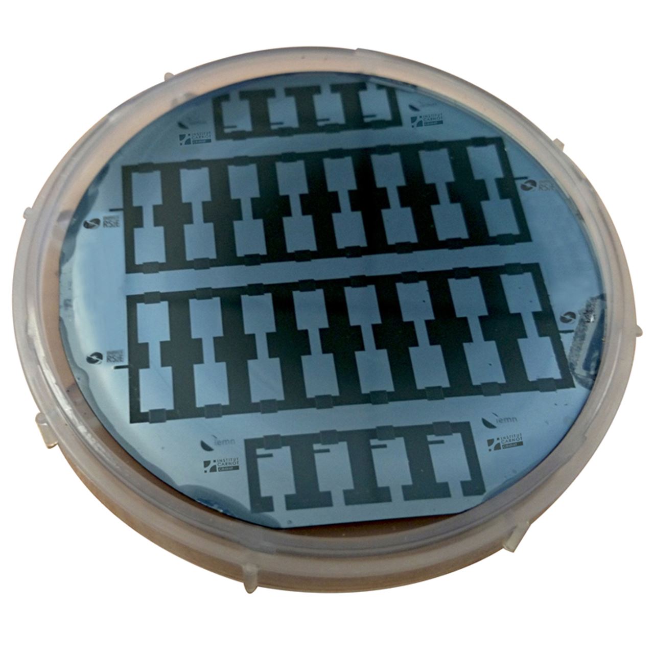 silicon wafer