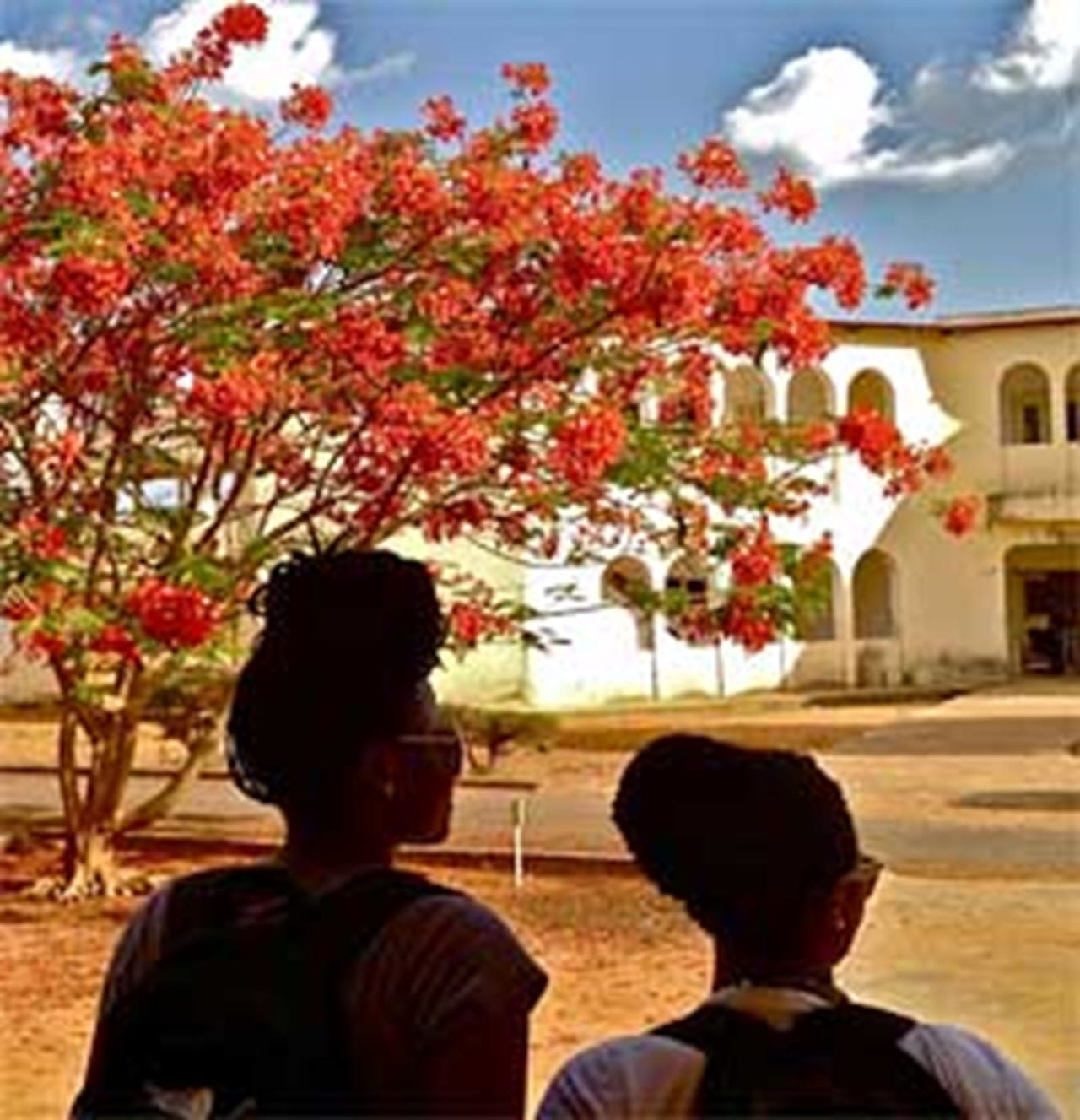 Public health students in Gambia, West Africa