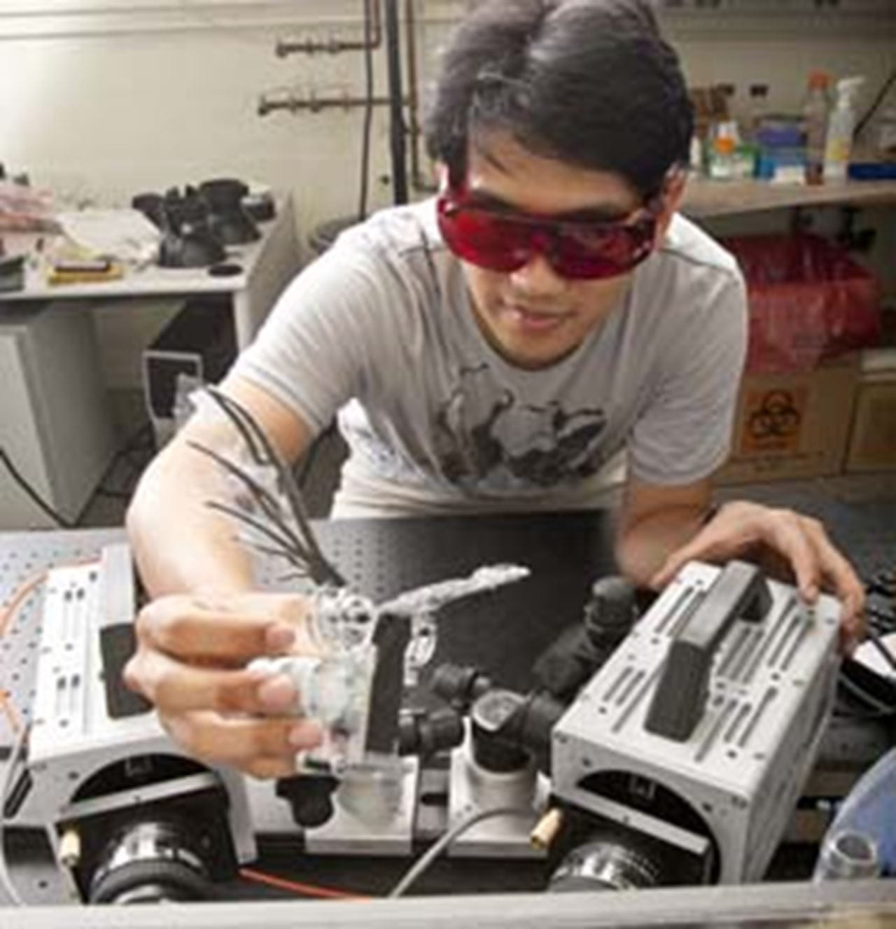 Engineering beetle research