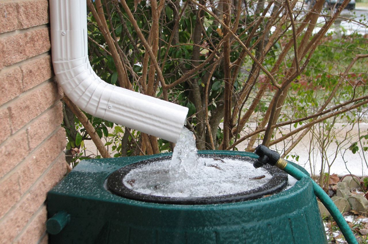 rain water barrel