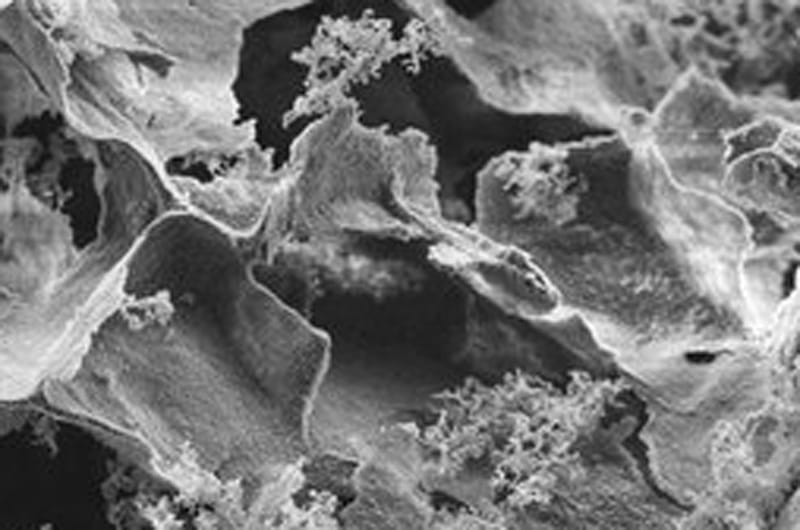 Boron nitride nanosheet