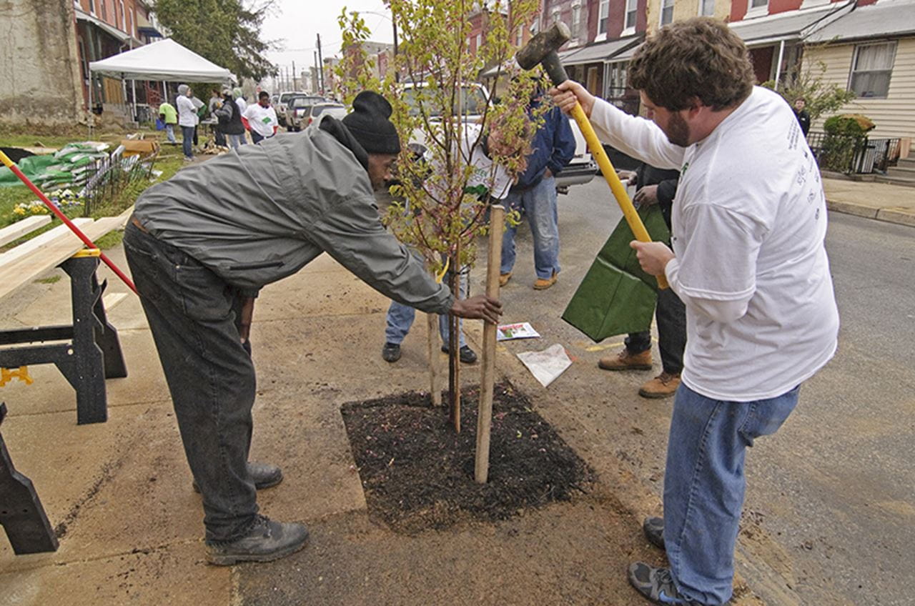 People planting a tree