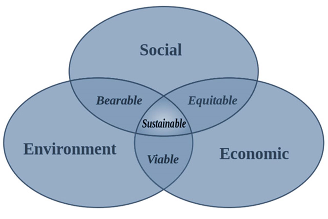 sustainability business course