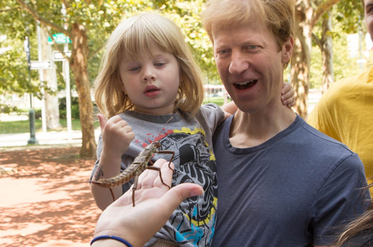 An up-close encounter with a stick bug outside the Academy of Natural Sciences. Photo by Meredith Dolan/ANS.
