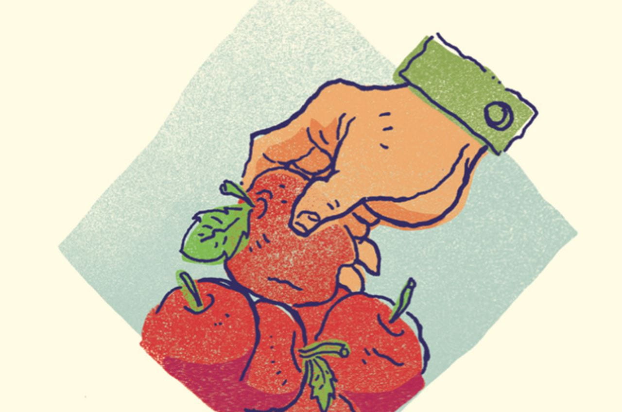 A drawn hand picking fruit.