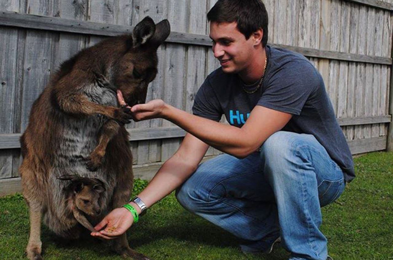 Feeding a mother and a joey at the same time at Maru Koala and Animal Park, Philip Island, Australia, by David Fleishaker
