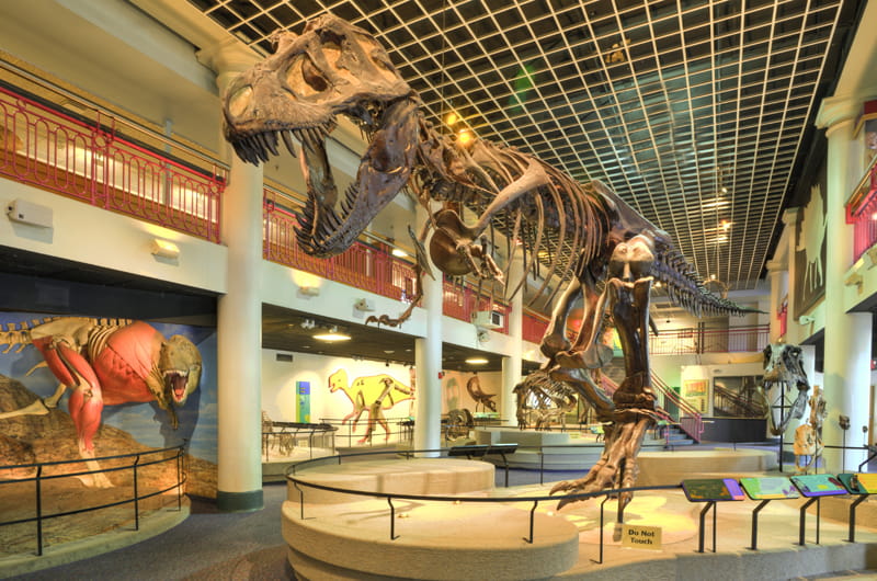 The Academy of Natural Sciences of Drexel University will serve as inspiration to aspiring writers at the first "Insider Access Workshop." Photo credit: Will Klein