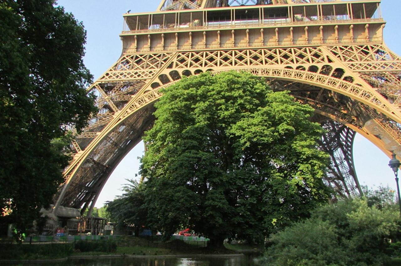 Beneath the Eiffel Tower in Paris, France, by Taylor Collins