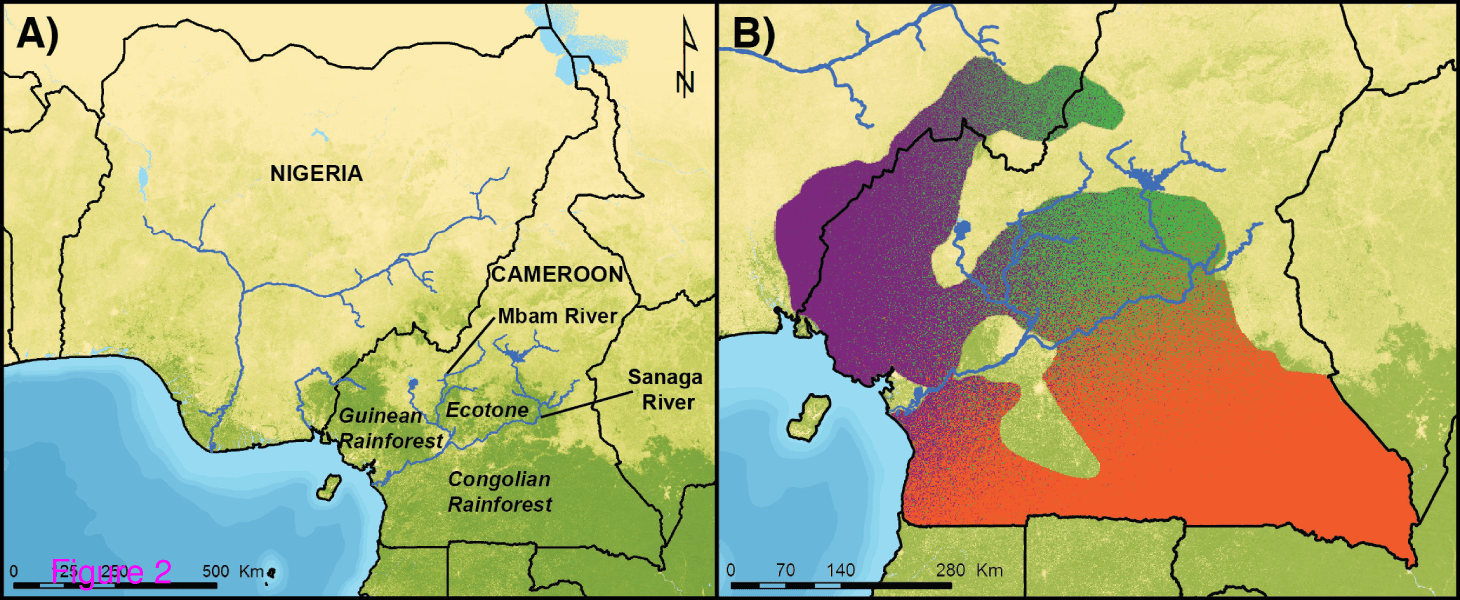 Habitat Types and Chimpanzee Population History in Cameroon and Nigeria. Credit: Sesink Clee et al.