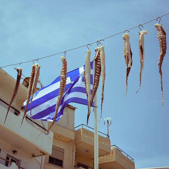Octopi hanging in Crete, Greece. Photo by Karly Soldner, BS environmental science '17.