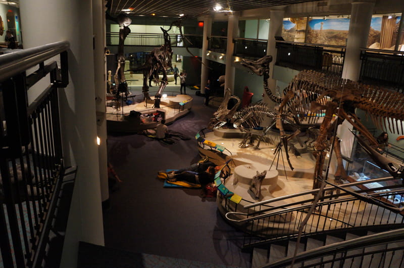 Participants in the Academy of Natural Sciences adult overnight get ready for bed in Dinosaur Hall. Photo by Mike Servedio.