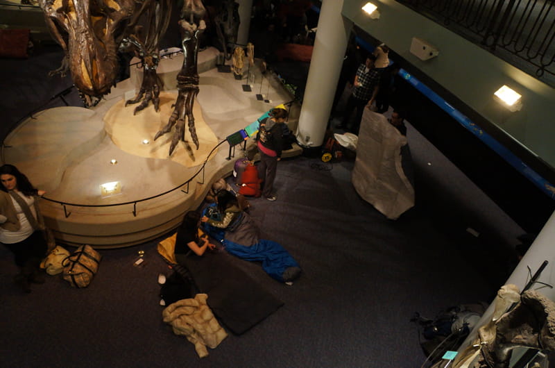 An overhead view of preparing for bed at the foot of a T. Rex. Photo by Mike Servedio.