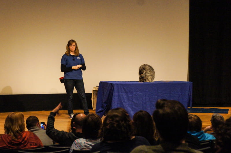 Caitlin Halligan giving a presentation with Barton the Porcupine during the adult overnight event. Photo by Mike Servedio.