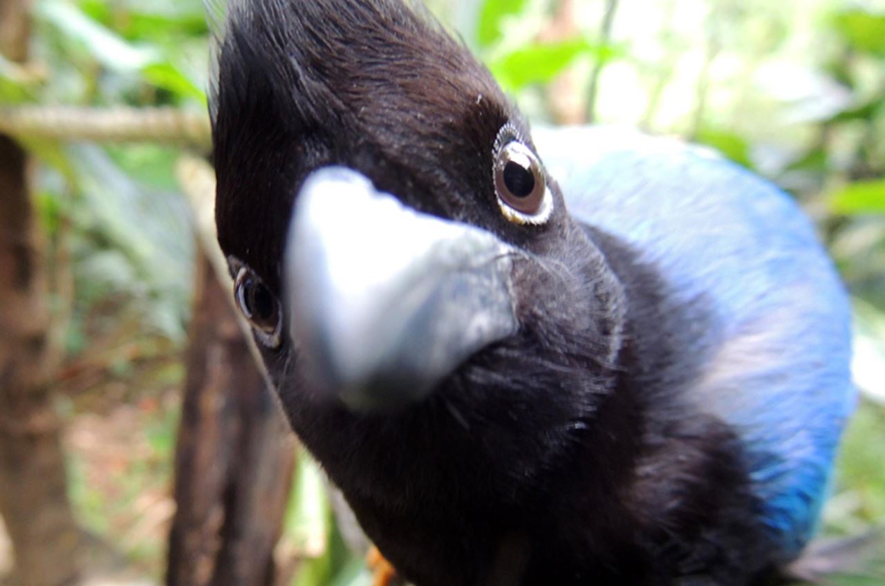 Photo from Araks Ohanyan's downtime during her co-op in a nature park in Mexico.