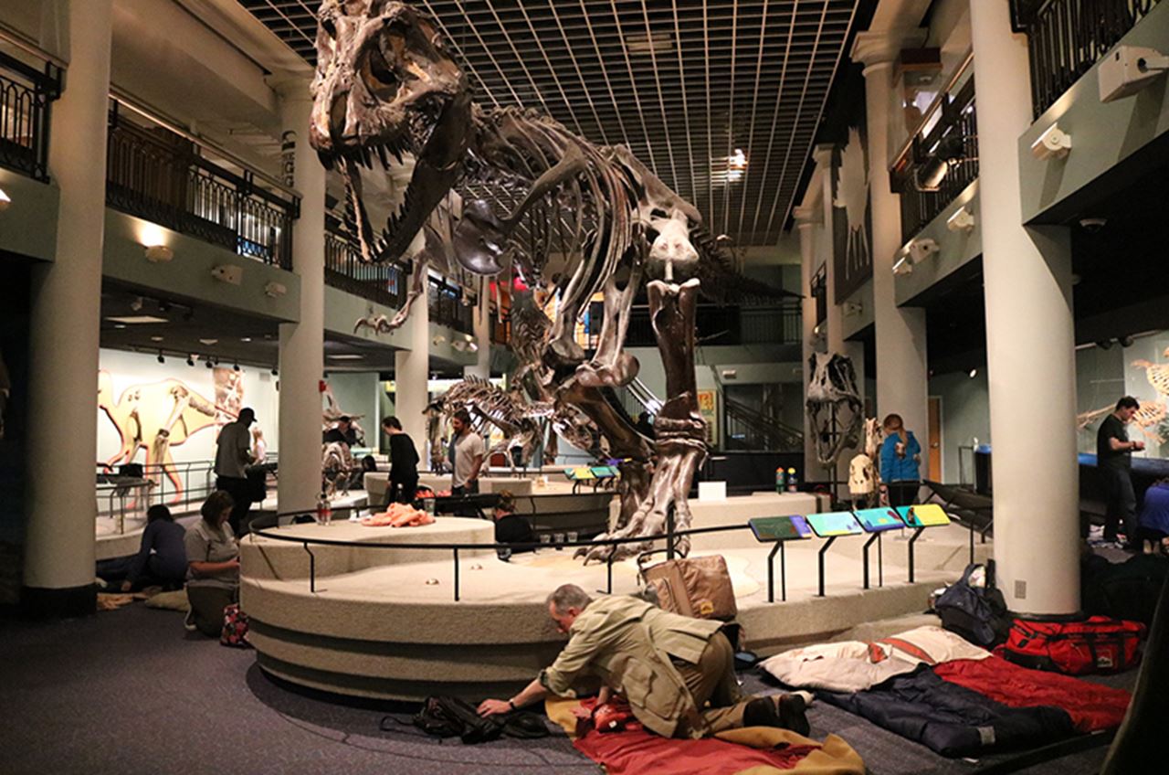 Sleeping under the Tyrannosaurus Rex.