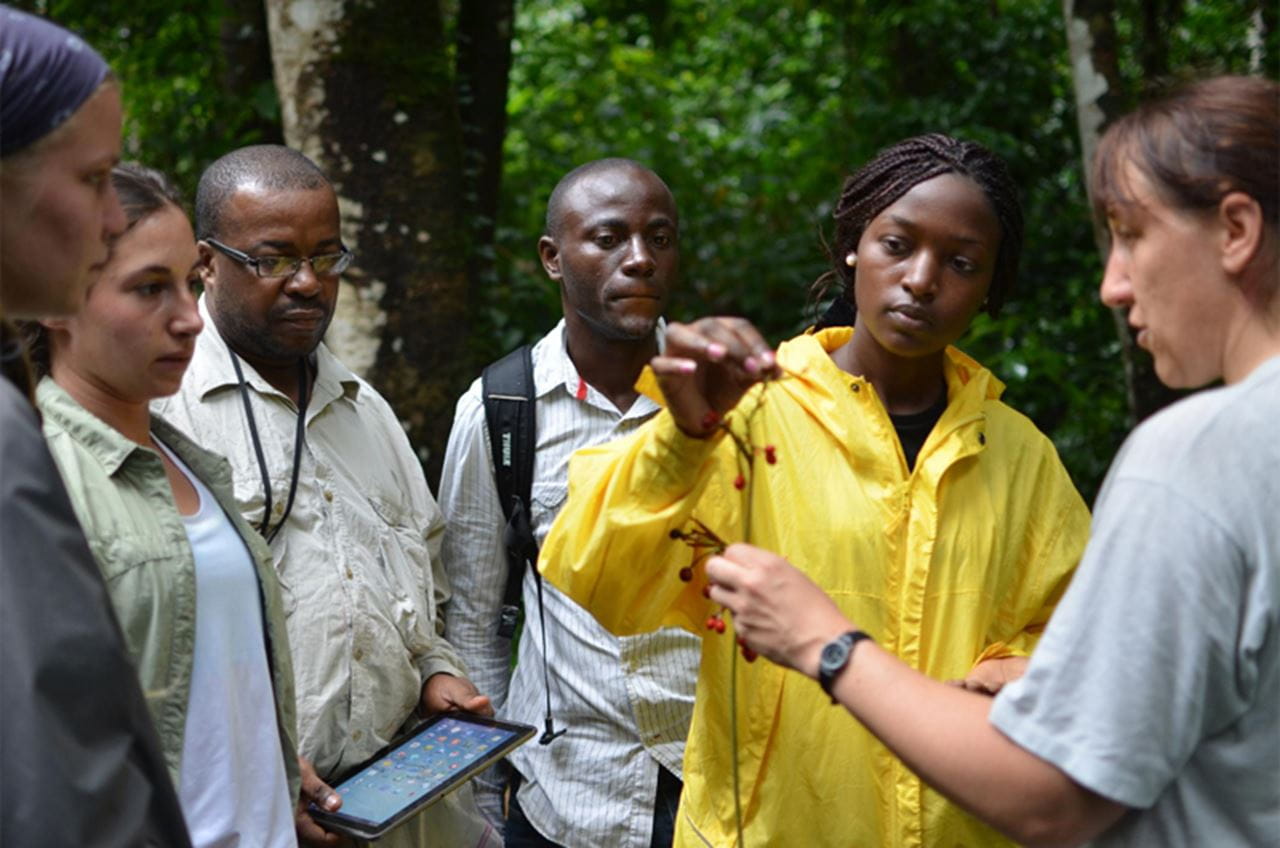 The Central African Biodiversity Alliance 2015 Undergraduate Field Course Plant Research Group at Mbam & Djerem National Park, Cameroon. Pictured from left to right: Katie DiAngelus (Drexel), Katherine Achy (UCLA), Dr. Maximilliano Fero (National University of Equatorial Guinea), Francisco Mitogo (National University of Equatorial Guinea), Andrienne Bih (Univeristy of Buea, Cameroon) and Alexandra Ley (University of Halle-Wittenberg, Germany). Photo credit: David Montgomery.