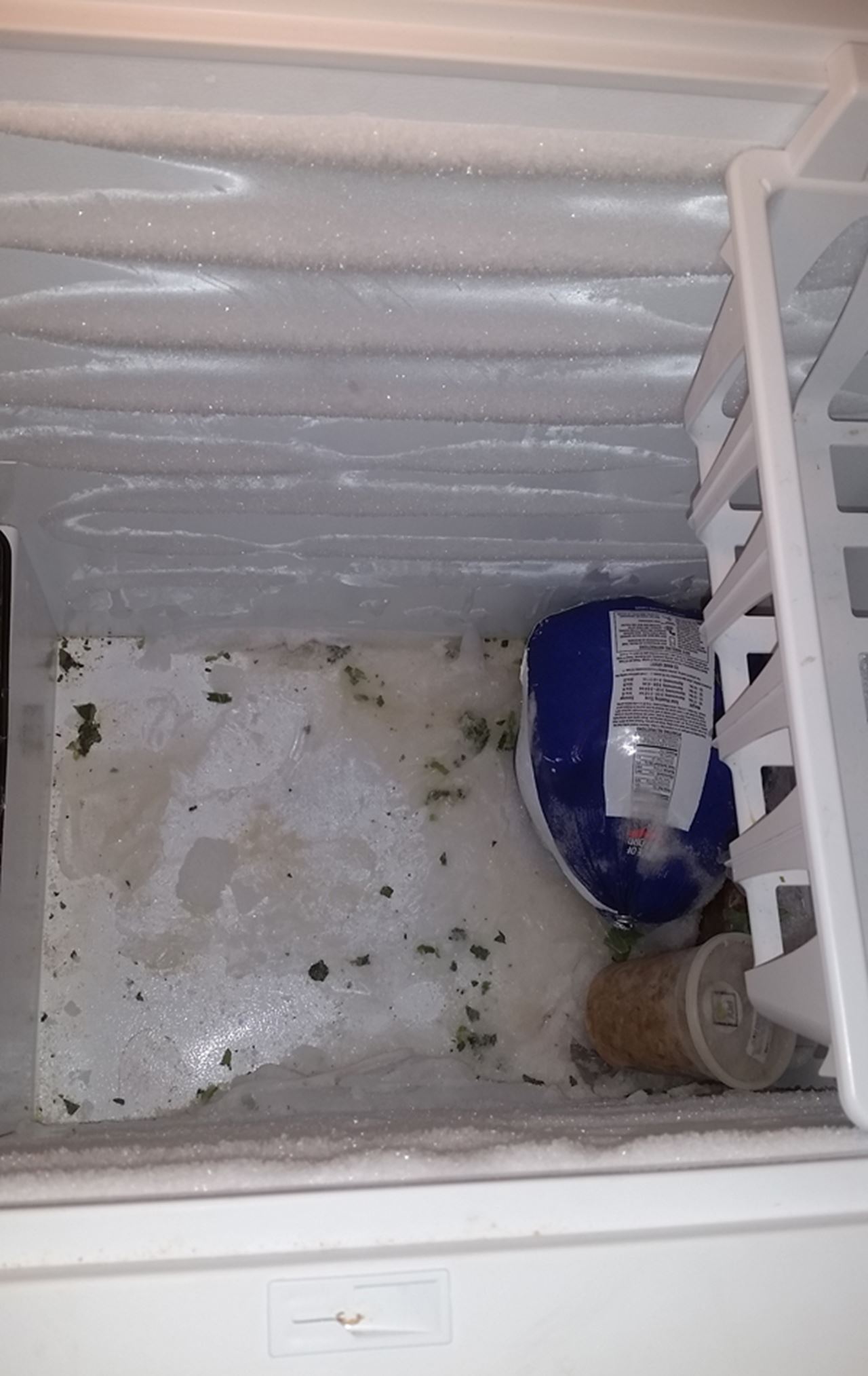 A freezer that is mostly empty except for one container and a frozen chicken. Kim W., a Witness from Washington D.C., took this photo and said, "My short-term goal was to fill up my deep freezer for the winter. In January, my freezer is still empty. I don't understand how I am denied food stamps because I am 'over income' but still can't put food in my freezer." 