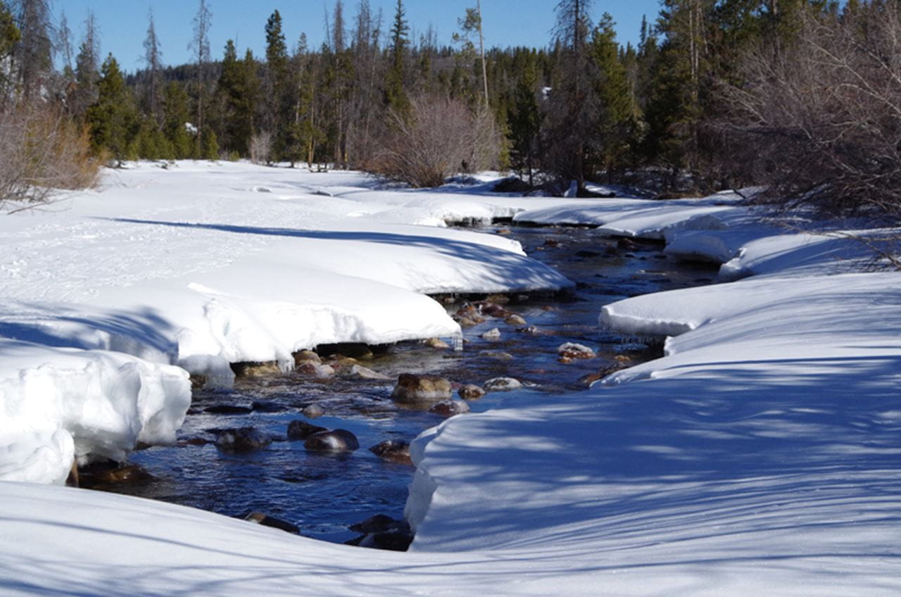 East fork of the Bear River, one of the study sites.