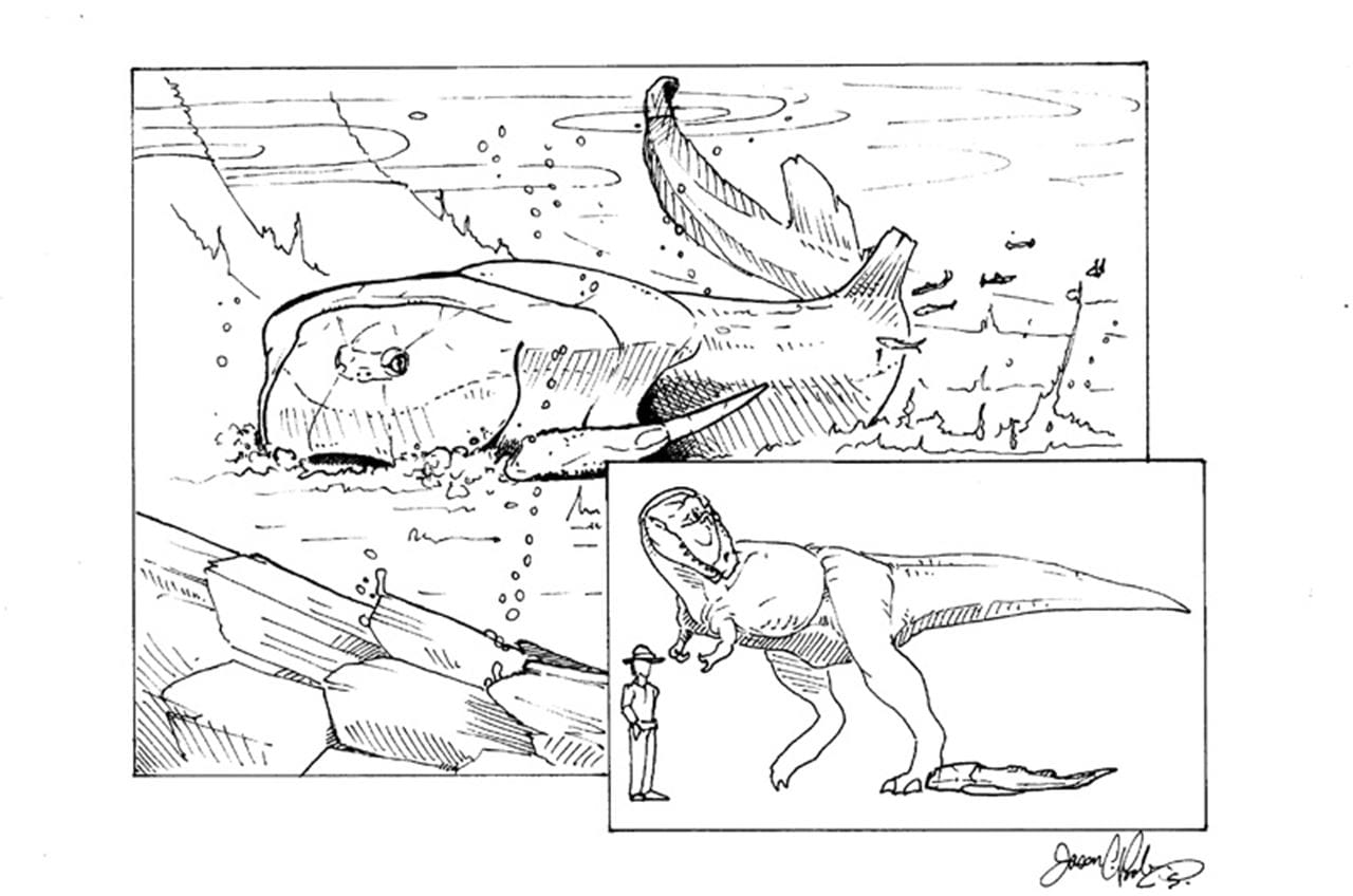 A rendition of what the B. rex would have looked like in its natural habitat along with a comparison of its size to that of a T. rex and an average human being. 