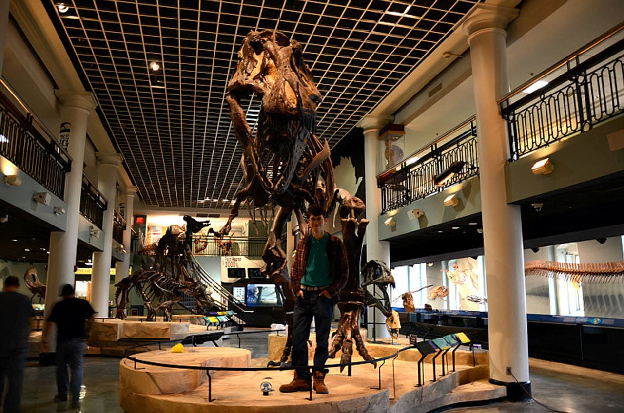 Kevin Sievers stands beneath the Academy's intimidating Tyrannosaurus rex.