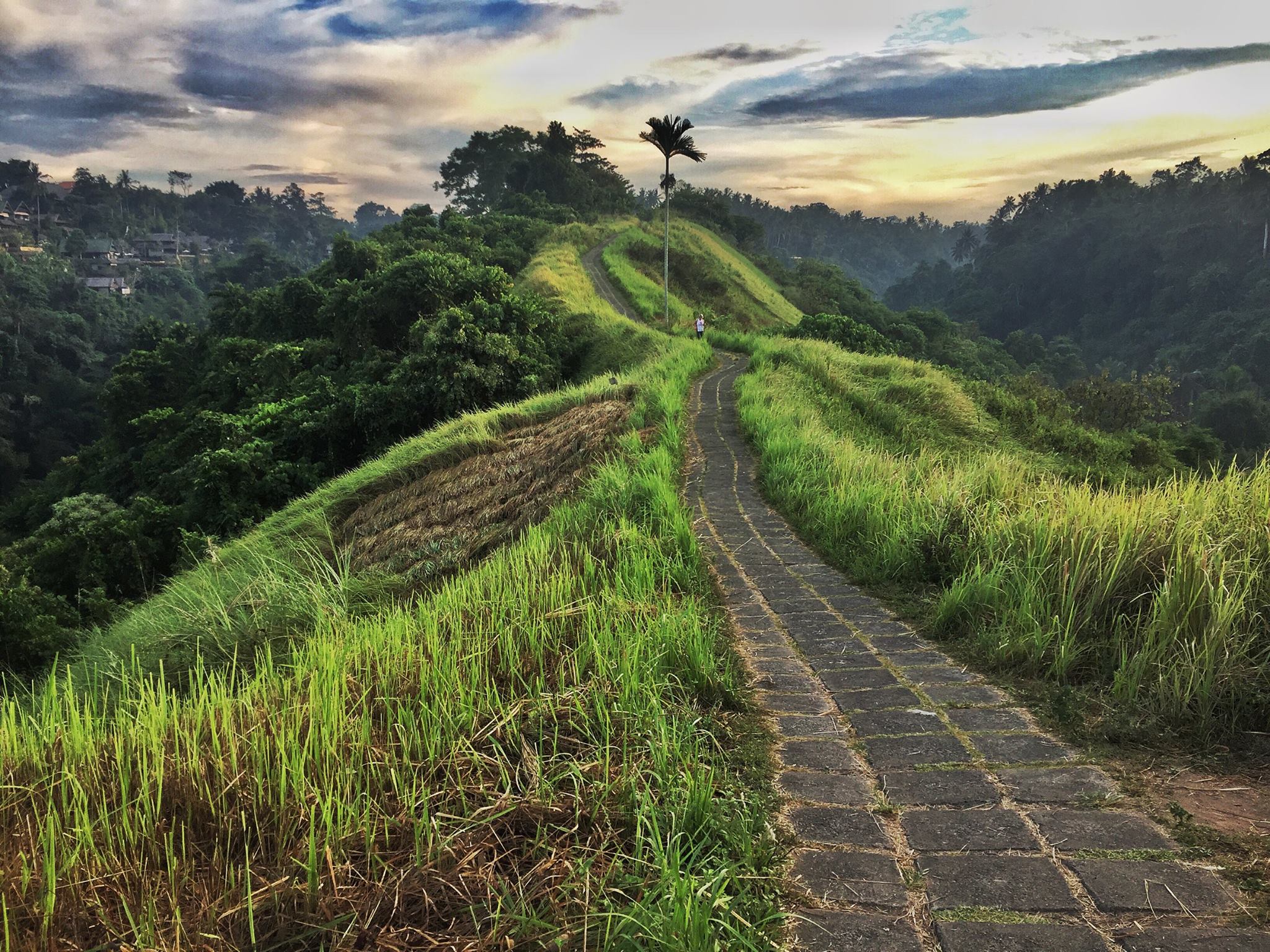 Mohana Nagda, Hong Kong: "Lost in Paradise."