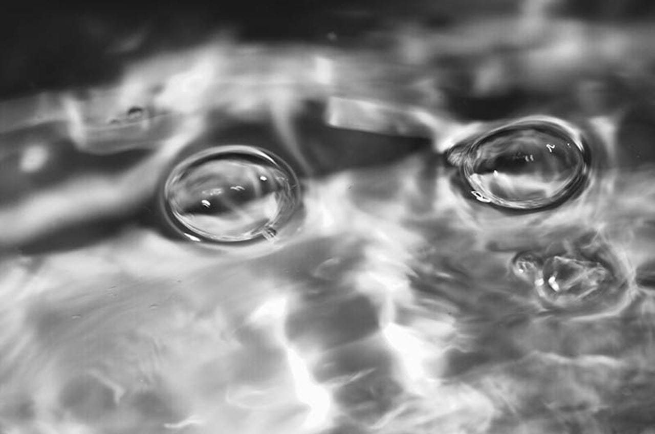 Photo by Cindi Landmesser.