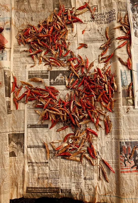 "Drying Espelette, 2013" by Jason Varney, which will be exhibited in his upcoming show. 