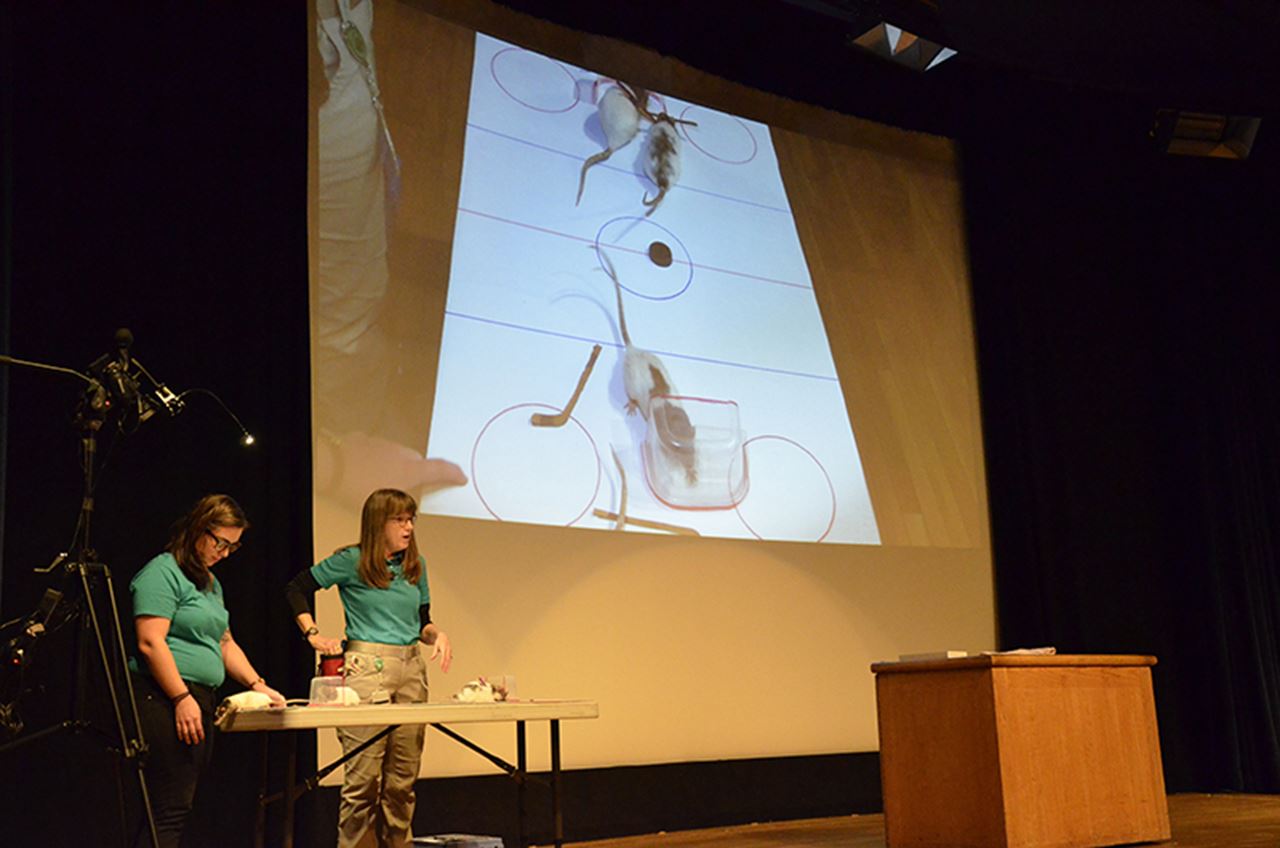 The stage at Tuesday's rat hockey game at the Academy Winter Games.