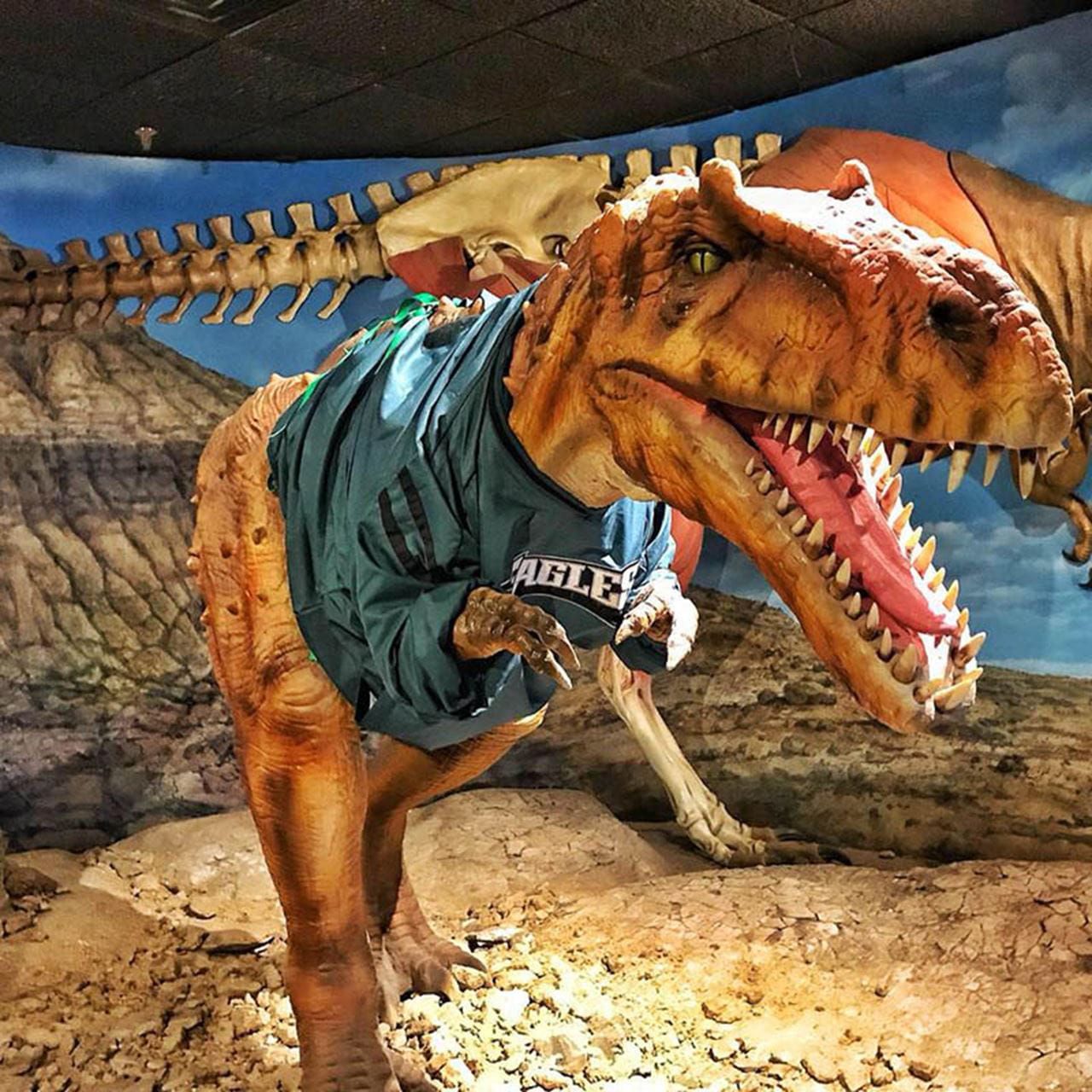A Eagles-loving dinosaur at the Academy of Natural Sciences.